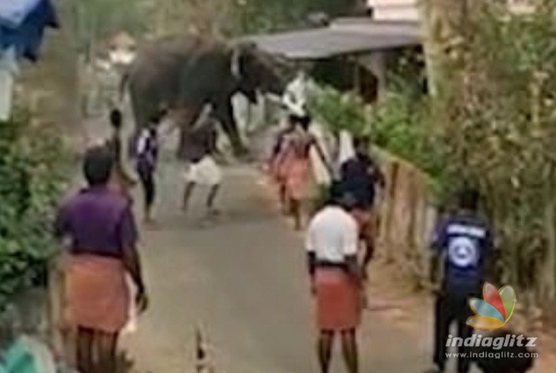 Video: Mad elephant goes violent and uncontrollable in residential area