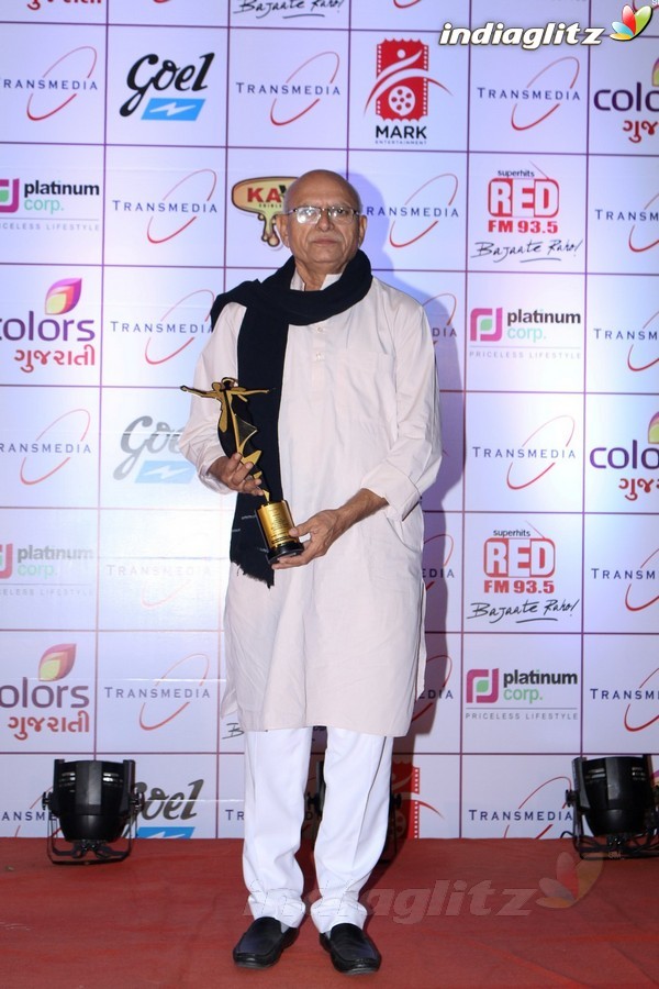 Celebs at 16th Transmedia Gujarati Screen & Stage Award
