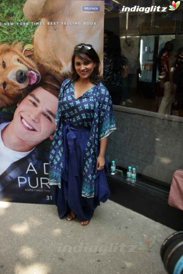 Lara Dutta & Sneha Ullal at Special Screening of Film 'A Dogs Purpose'