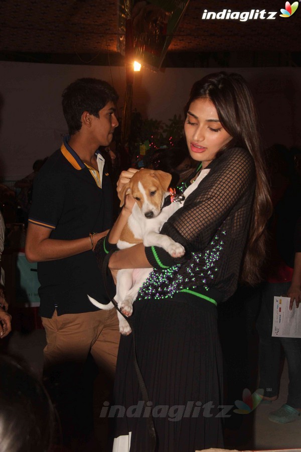 Bollywood Celebs Support Animal Adoption Drive