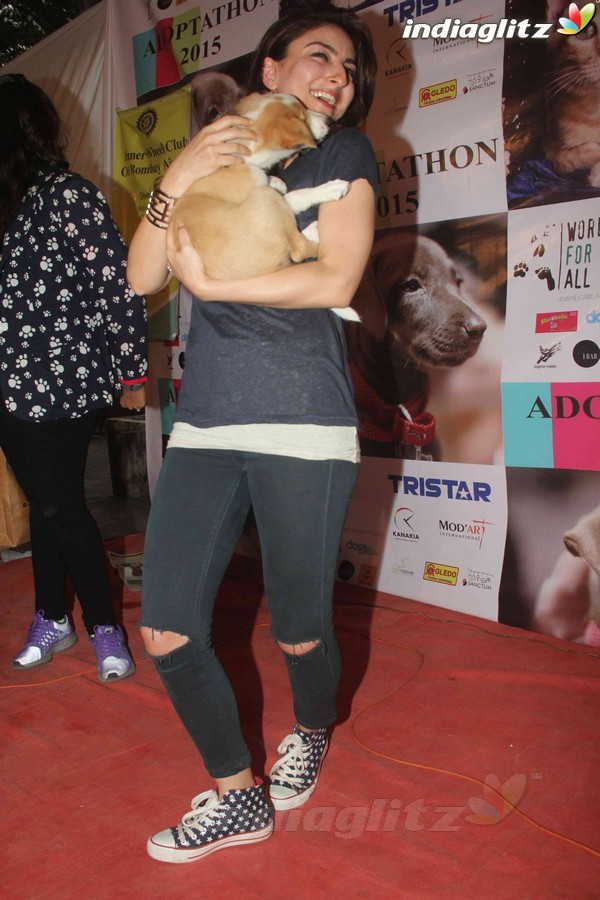 Bollywood Celebs Support Animal Adoption Drive