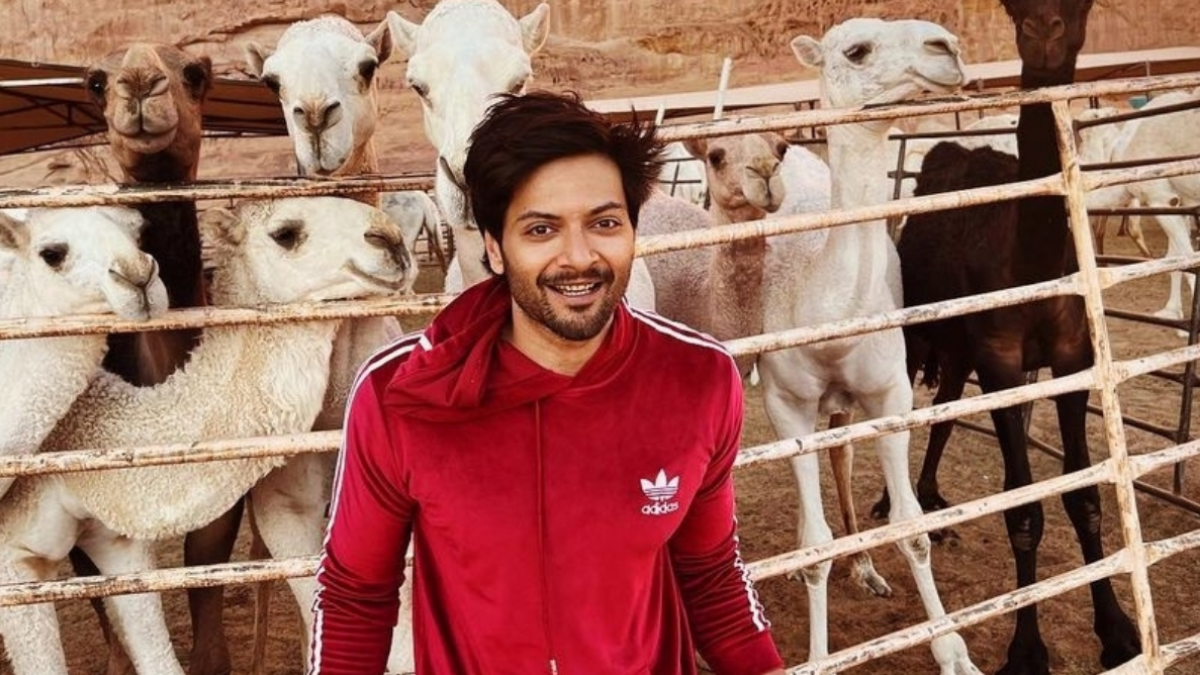 Ali Fazal talks about balancing his Bollywood and Hollywood career 