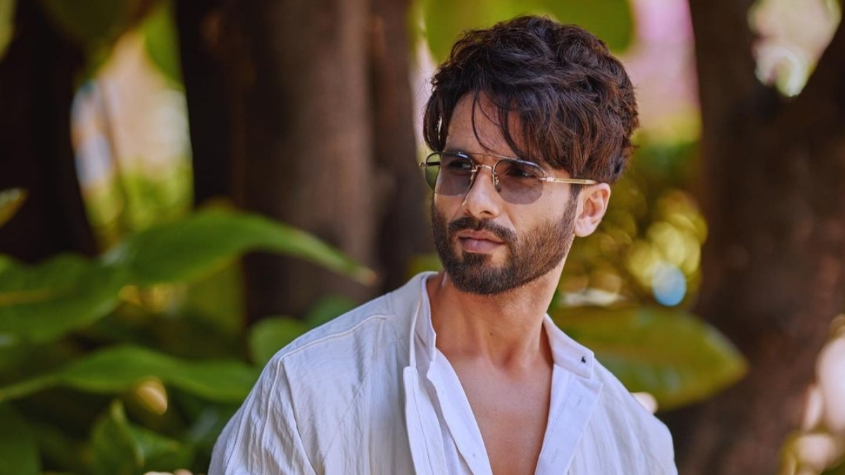 Shahid Kapoor is scared of doing big budget films due to this reason 