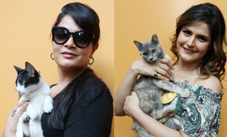 Richa Chadda & Zareen Khan Celebrate Furrentines Day With Remedy Now