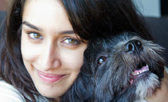 Shraddha takes stand for animals this Diwali