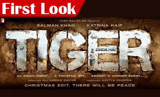 Tiger is BACK: Salman Khan returns with 'Sultan' team
