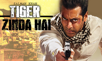 10,000 rounds of fire on Salman's 'Tiger Zinda Hai' set