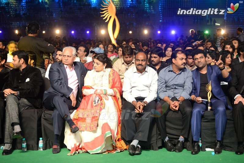 Celebs @ IIFA Utsavam Awards 2016 Day 2 (Telugu & Kannada) (Set 3)