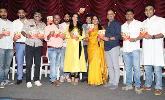 Srinivasa kalyana Film Audio Release Press Meet