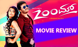 Zoom Review