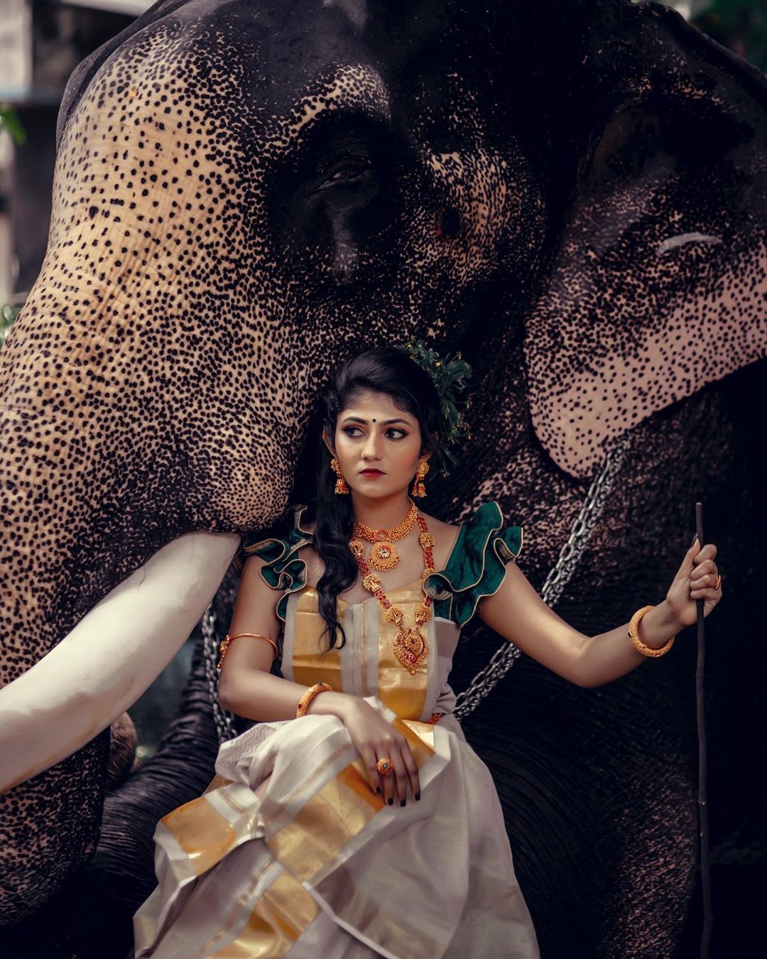 drishya raghunath 1