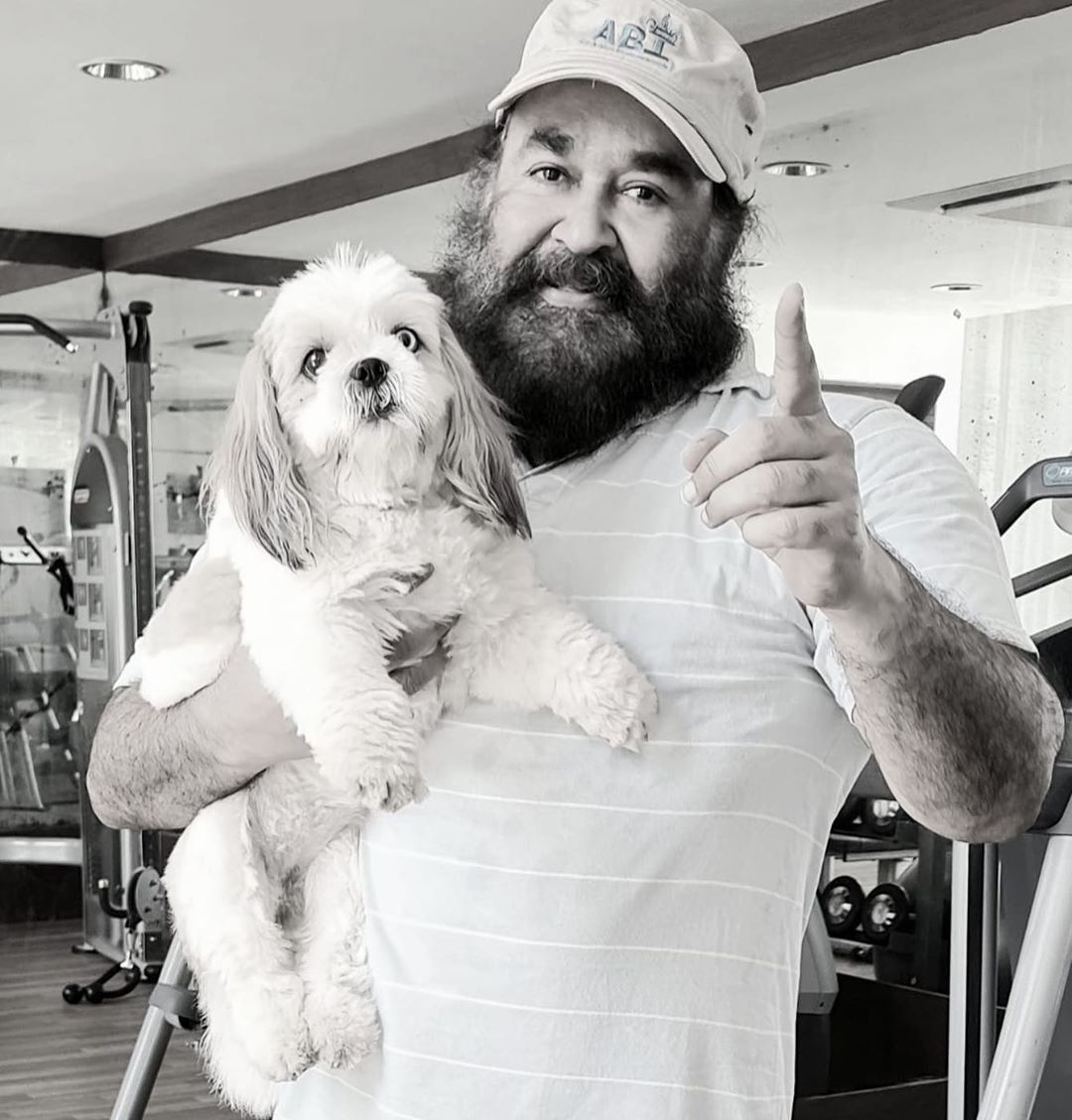 Mohanlal's new pictures with 'bailey' go viral - Malayalam News