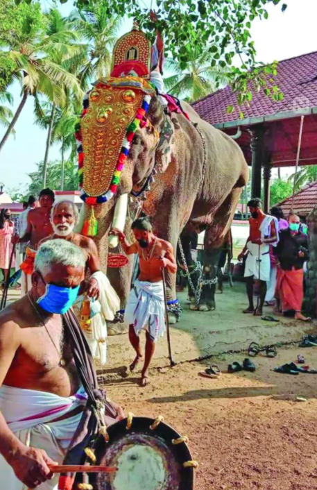 Ramachandran elephant kerala