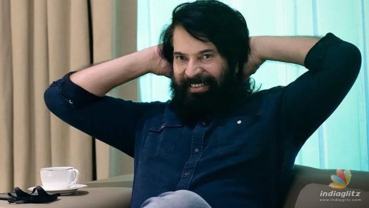 Fans call Mammootty the BIG brother of KGF Rocky  Malayalam News