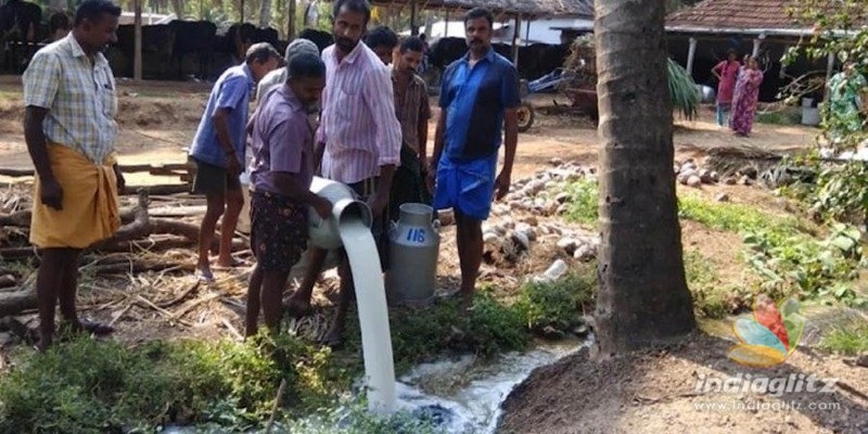 COVID-19 Kerala: 80,000 litres of milk poured in drain as protest!