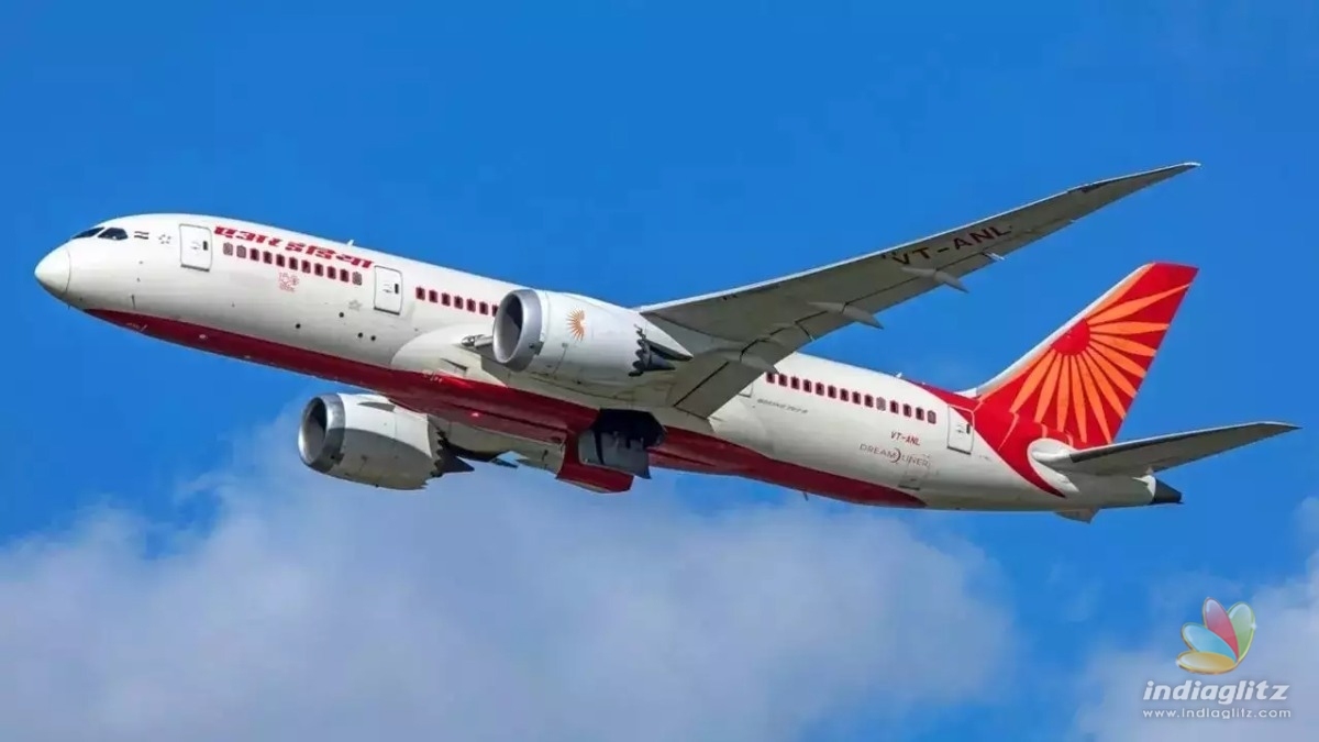 Air Indiaâs flight to London returns to Delhi after passenger hits cabin crews