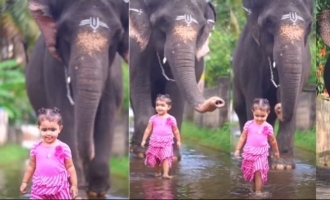 https://1847884116.rsc.cdn77.org/malayalam/news/baby_girl_and_elephant_viral_video-ac0.jpg