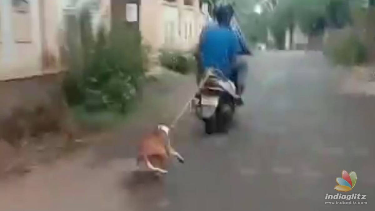 Cruelty: Man ties dog to scooter and drags along road 