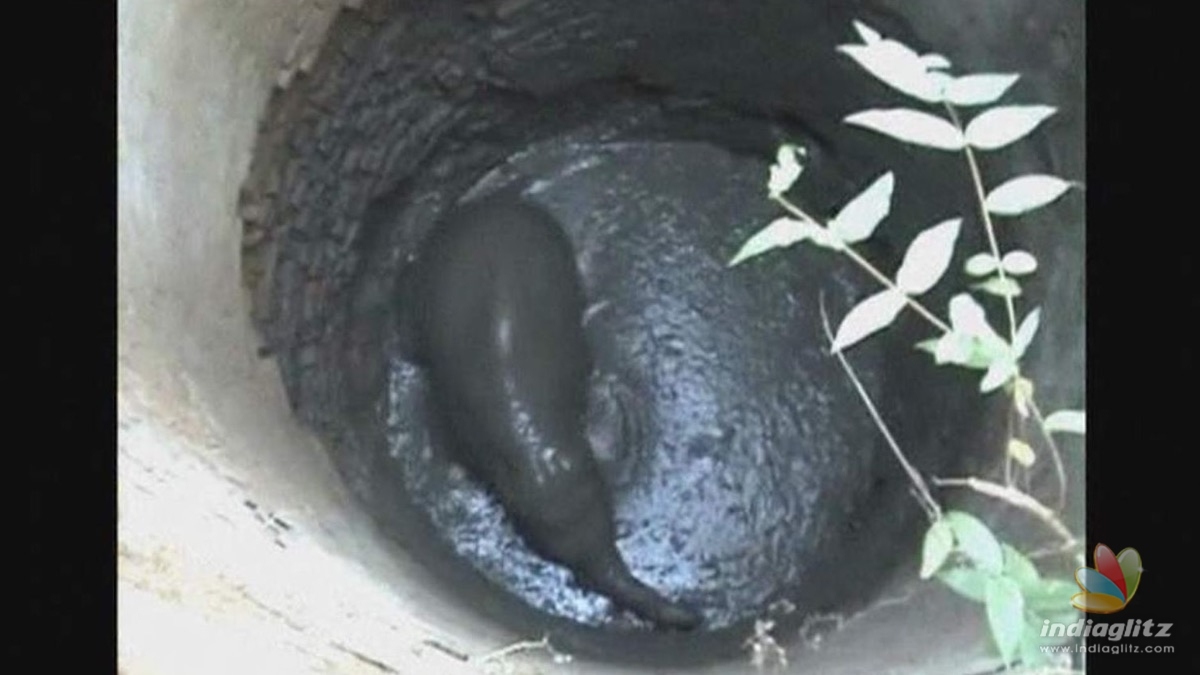 Tragic death for wild elephant rescued from a deep well after 12-hour effort