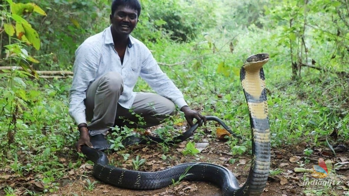 Popular Snake expert Vava Suresh hospitalised in critical condition