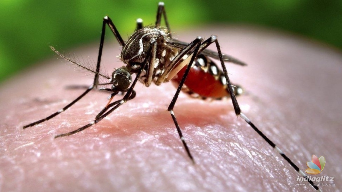 Zika virus cases soar high in Kerala