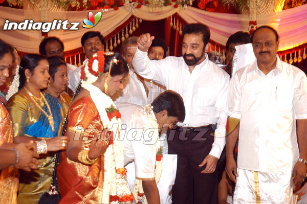 Events - A.C. Shanmugam's son's grand wedding Movie ...