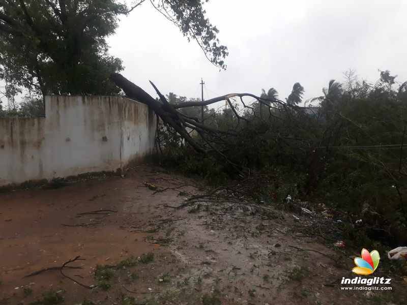 Aftermaths of cyclone Gaja