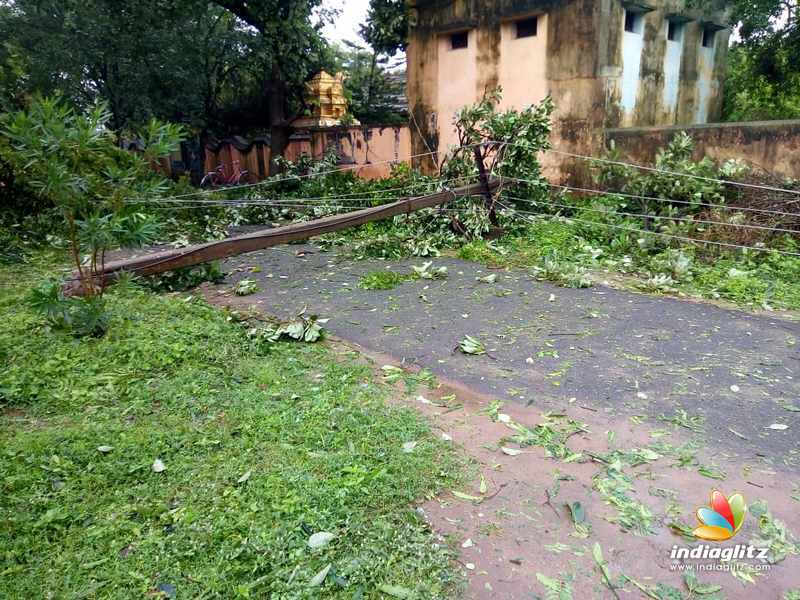Aftermaths of cyclone Gaja