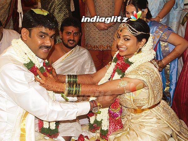 Vikram Krishna Weds Shriya Reddy