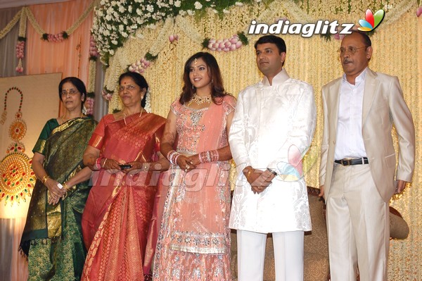 Meena Wedding Reception