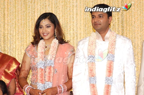 Meena Wedding Reception