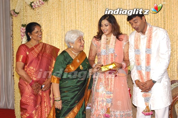 Meena Wedding Reception