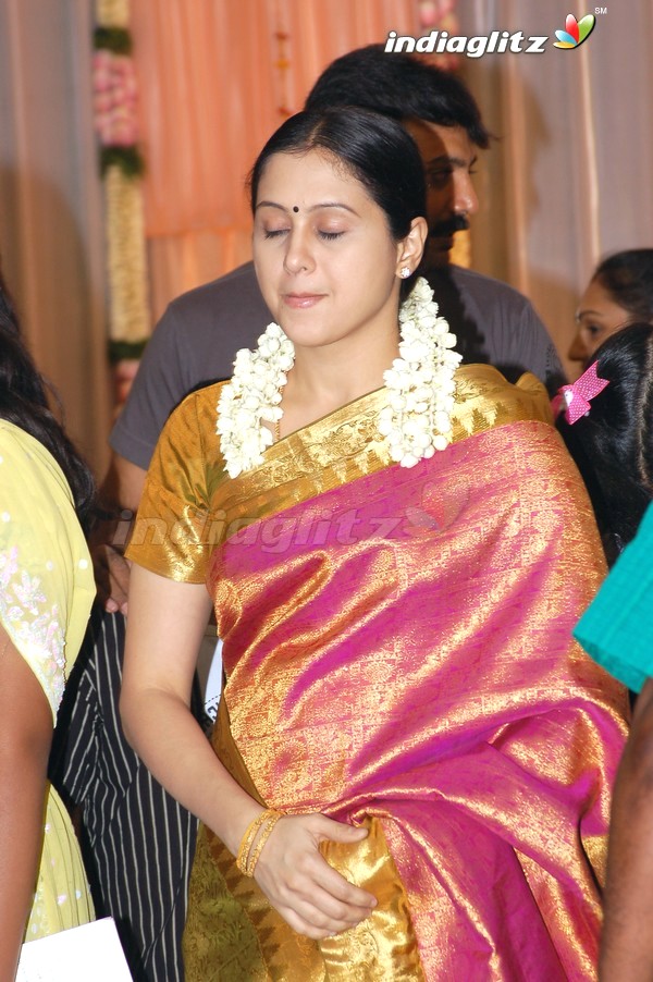 Meena Wedding Reception