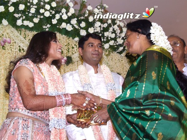 Meena Wedding Reception