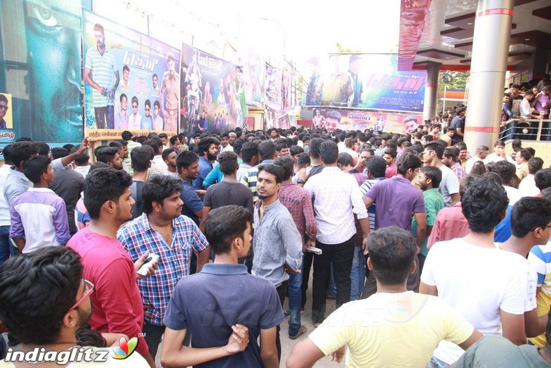 'Theri' FDFS Grand celebration at Albert Theater