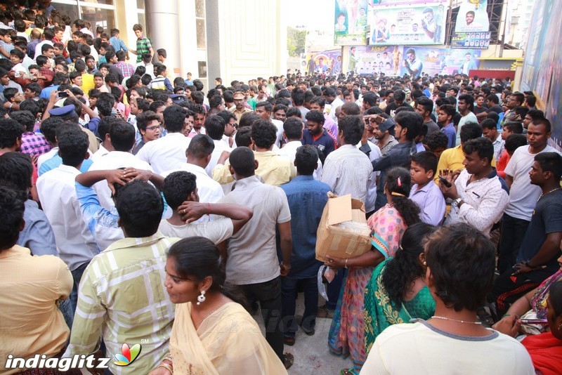 'Theri' FDFS Grand celebration at Albert Theater
