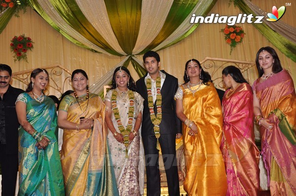 Vijayakumar Family Wedding Reception