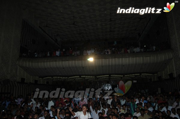 Vijay @ 'Nanban' Celebrations In Coimbatore