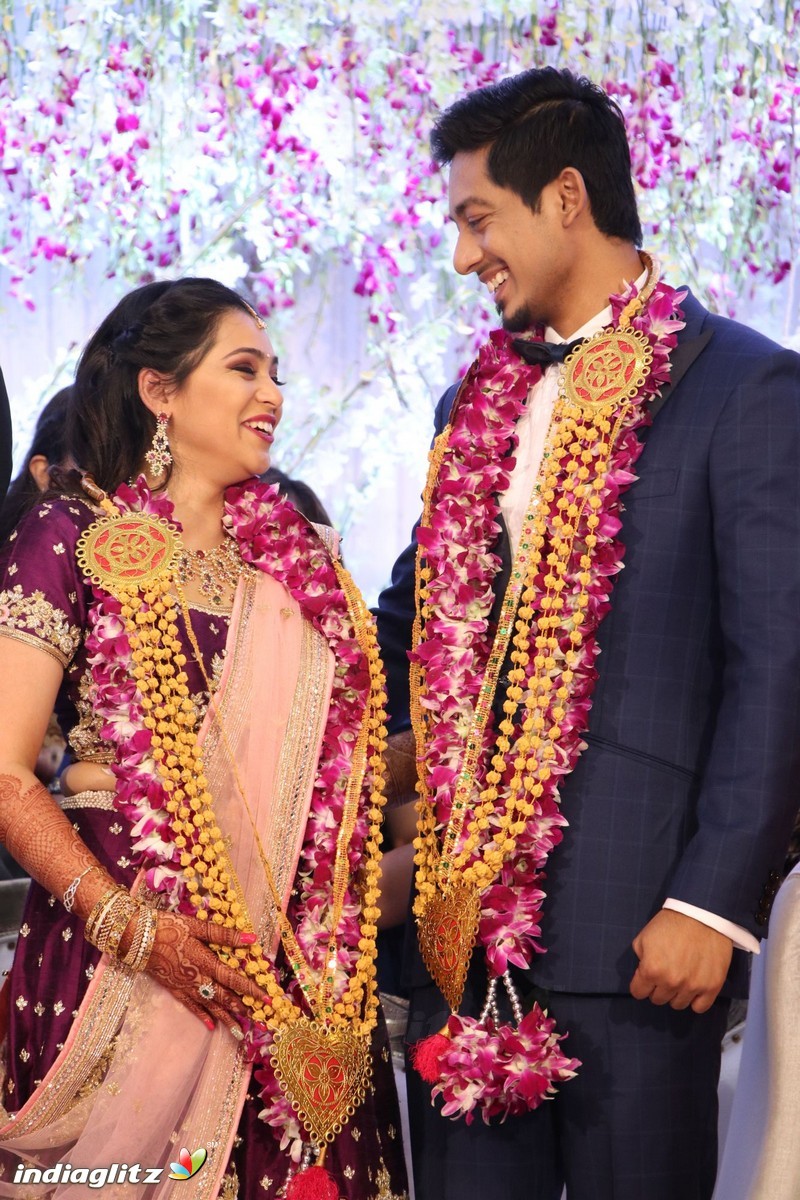 Vishal's Sister Aishwarya Wedding & Reception