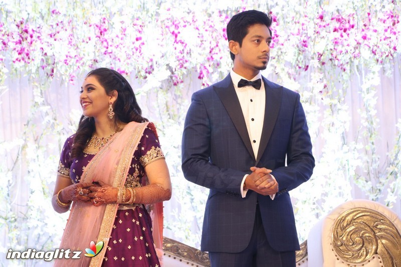 Vishal's Sister Aishwarya Wedding & Reception