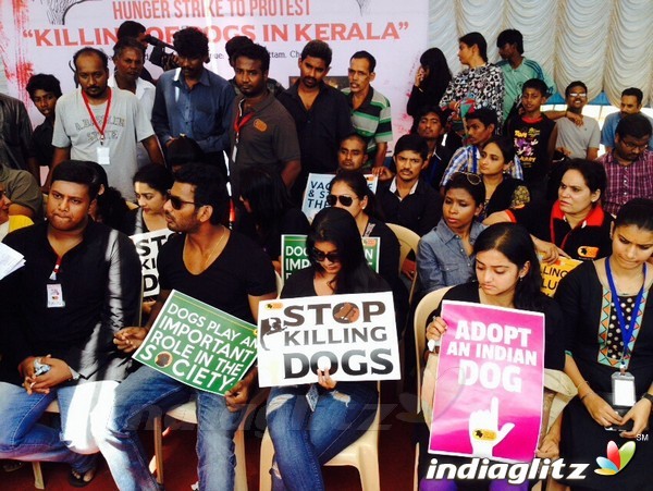 Vishal Hunger Protest Against Mass Killing of Dogs