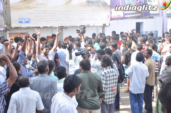 Fans Celebrate 'Vishwaroopam' Success
