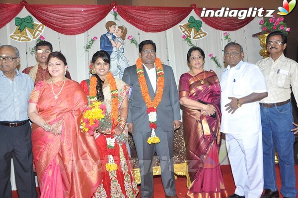 Y Vijaya Daughter Wedding Reception