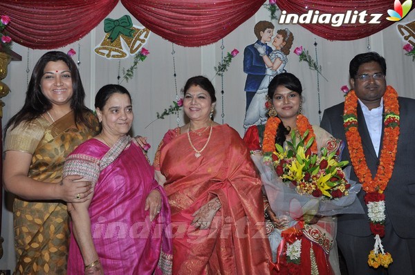 Y Vijaya Daughter Wedding Reception