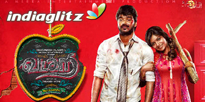 Vadacurry Review
