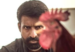 Soori reveals going an extra mile for his role in 'Kottukkaali'! - Talks about the hardships in a viral clip