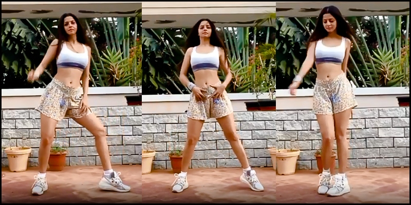 Vedhika Kumar Sex Videos - Vedhika's hot new dance video stuns netizens! - Tamil News - IndiaGlitz.com