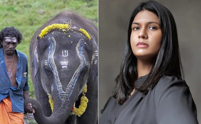 Kartiki Gonslaves And Guneet Monga's 'The Elephant Whisperers' Bags The Academy Award