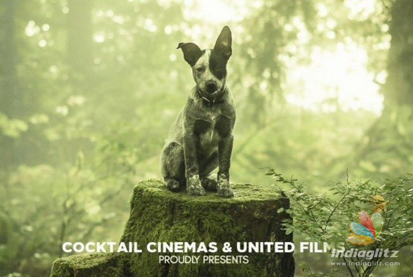Urumeen directors next is a dog adventure film! details