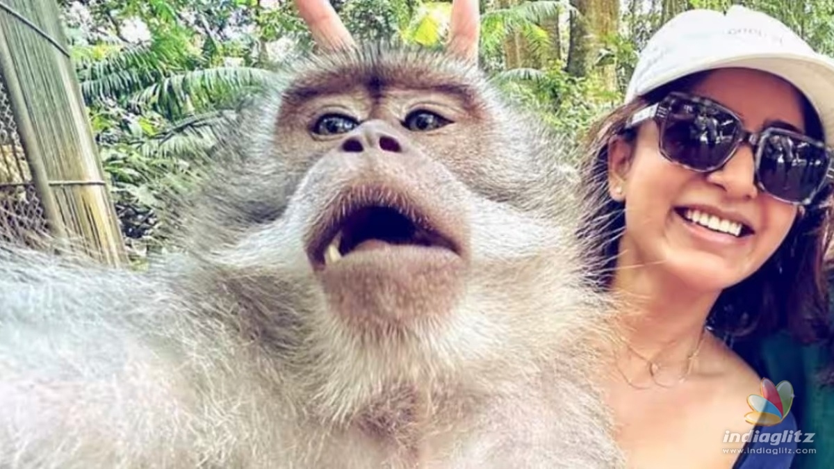 Whoa! Lucky monkey takes selfies with Samantha, fun pics go viral